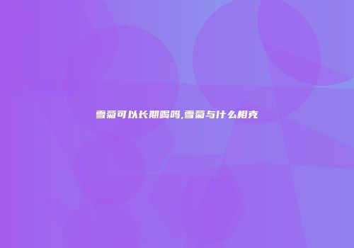 雪菊可以长期喝吗,雪菊与什么相克