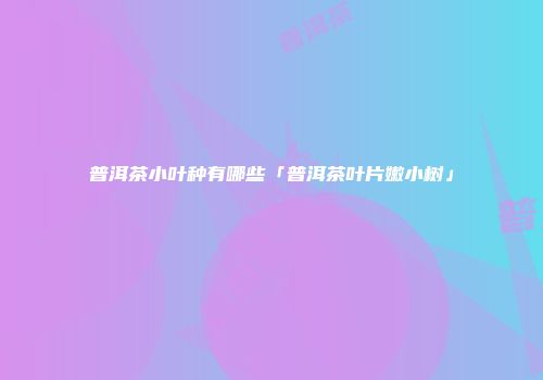 普洱茶小叶种有哪些「普洱茶叶片嫩小树」