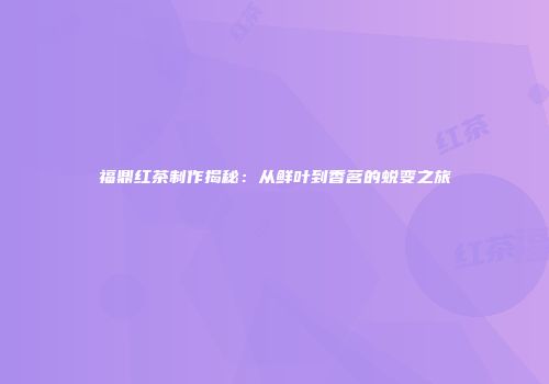 福鼎红茶制作揭秘：从鲜叶到香茗的蜕变之旅