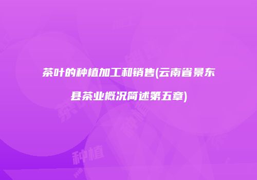 茶叶的种植加工和销售(云南省景东县茶业概况简述第五章)