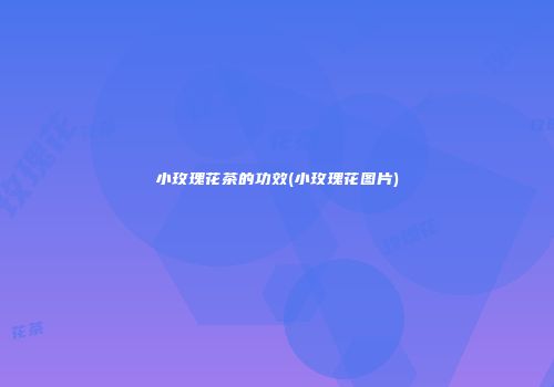 小玫瑰花茶的功效(小玫瑰花图片)