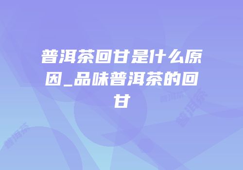 普洱茶回甘是什么原因_品味普洱茶的回甘