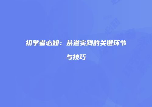 初学者必知：茶道实践的关键环节与技巧