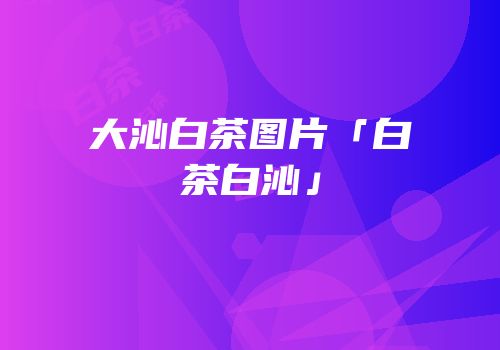 大沁白茶图片「白茶白沁」