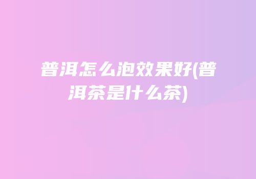 普洱怎么泡效果好(普洱茶是什么茶)