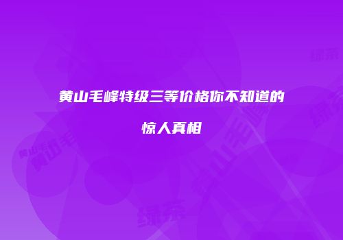 黄山毛峰特级三等价格你不知道的惊人真相