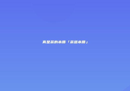 真是茶的本质「茶道本质」