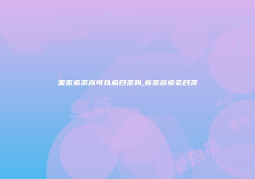 黑茶煮茶器可以煮白茶吗,煮茶器煮老白茶