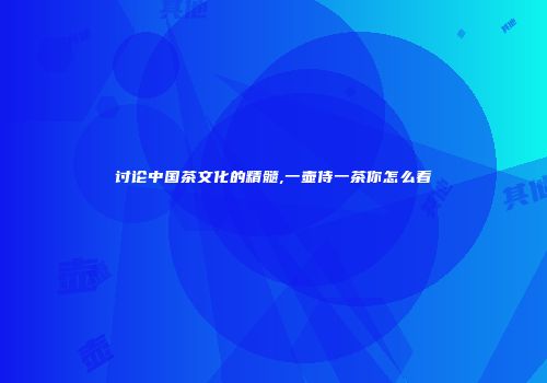 讨论中国茶文化的精髓,一壶侍一茶你怎么看
