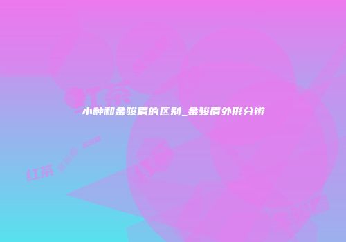 小种和金骏眉的区别_金骏眉外形分辨