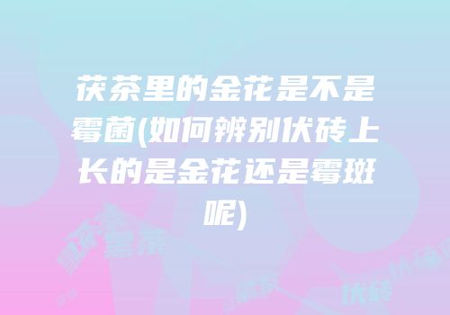 茯茶里的金花是不是霉菌(如何辨别伏砖上长的是金花还是霉斑呢)