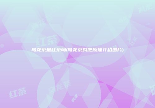 乌龙茶是红茶吗(乌龙茶减肥原理介绍图片)