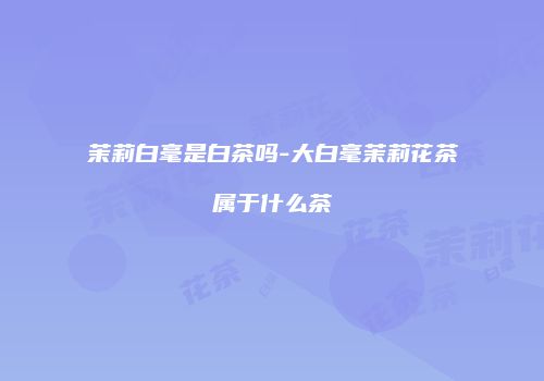 茉莉白毫是白茶吗-大白毫茉莉花茶属于什么茶