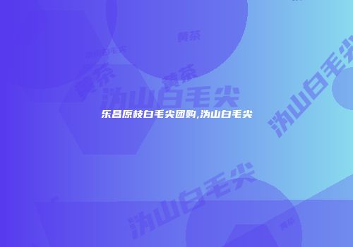 乐昌原枝白毛尖团购,沩山白毛尖