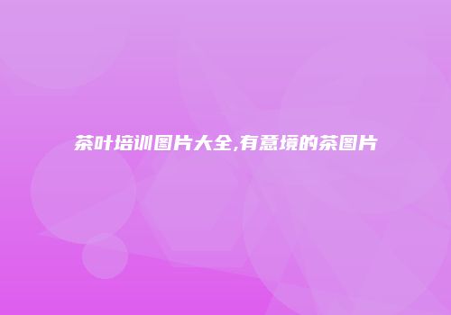 茶叶培训图片大全,有意境的茶图片