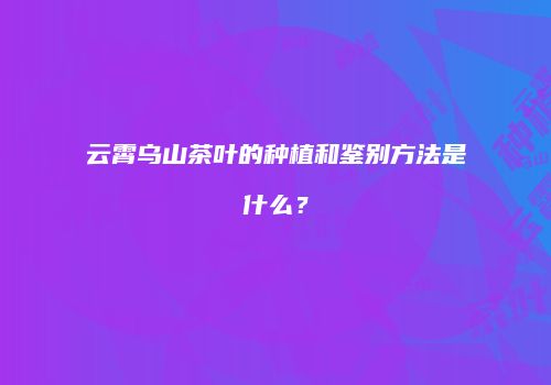 云霄乌山茶叶的种植和鉴别方法是什么？