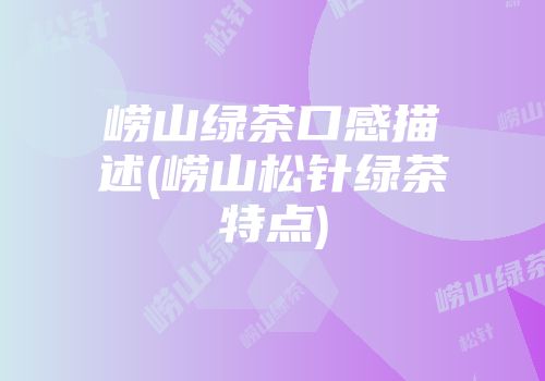 崂山绿茶口感描述(崂山松针绿茶特点)