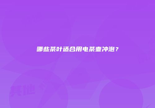 哪些茶叶适合用电茶壶冲泡？