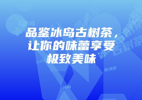品鉴冰岛古树茶，让你的味蕾享受极致美味