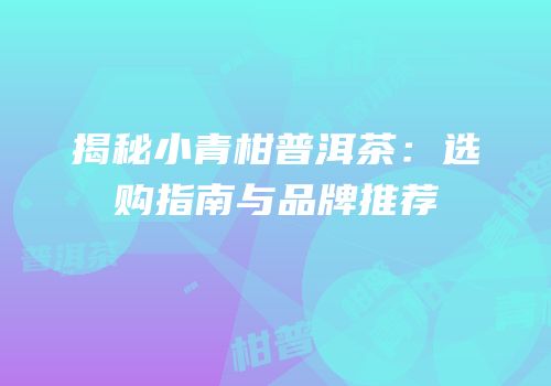 揭秘小青柑普洱茶：选购指南与品牌推荐