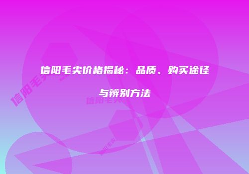 信阳毛尖价格揭秘：品质、购买途径与辨别方法