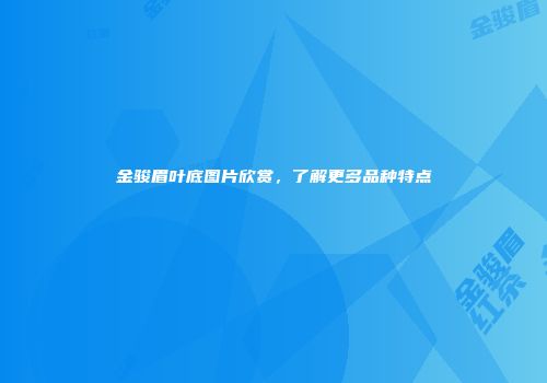 金骏眉叶底图片欣赏，了解更多品种特点
