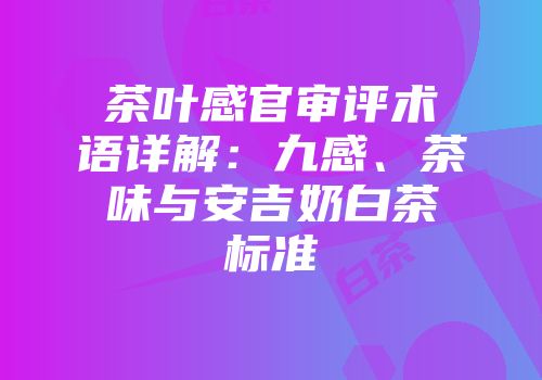 茶叶感官审评术语详解：九感、茶味与安吉奶白茶标准