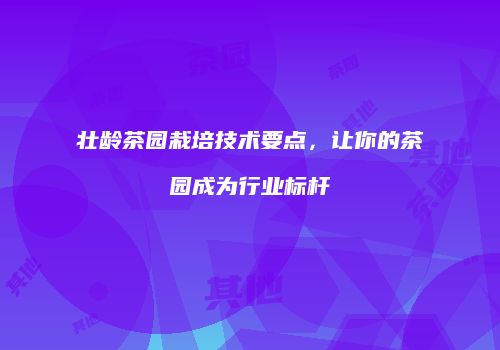 壮龄茶园栽培技术要点，让你的茶园成为行业标杆
