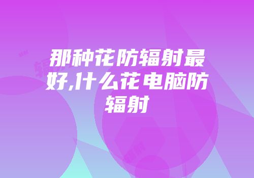 那种花防辐射最好,什么花电脑防辐射