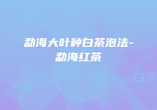 勐海大叶种白茶泡法-勐海红茶
