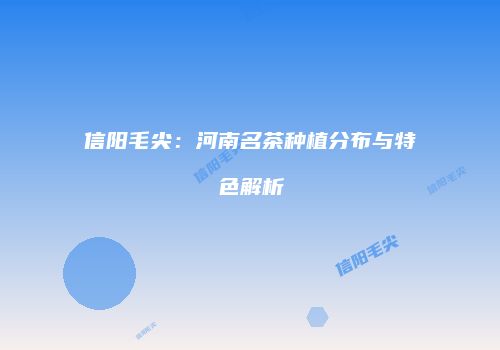 信阳毛尖：河南名茶种植分布与特色解析