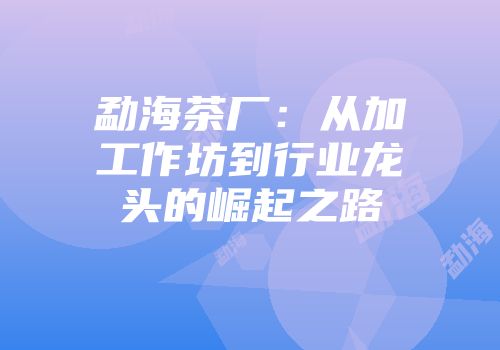 勐海茶厂：从加工作坊到行业龙头的崛起之路