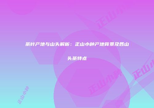 茶叶产地与山头解析：正山小种产地背景及各山头茶特点