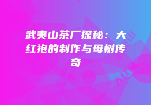 武夷山茶厂探秘：大红袍的制作与母树传奇