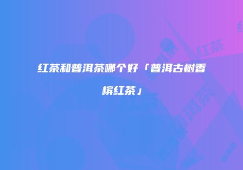 红茶和普洱茶哪个好「普洱古树香槟红茶」