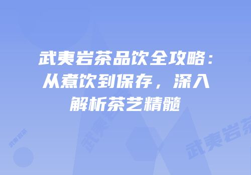 武夷岩茶品饮全攻略：从煮饮到保存，深入解析茶艺精髓