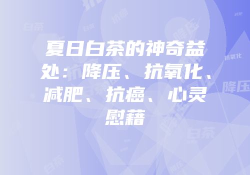 夏日白茶的神奇益处：降压、抗氧化、减肥、抗癌、心灵慰藉