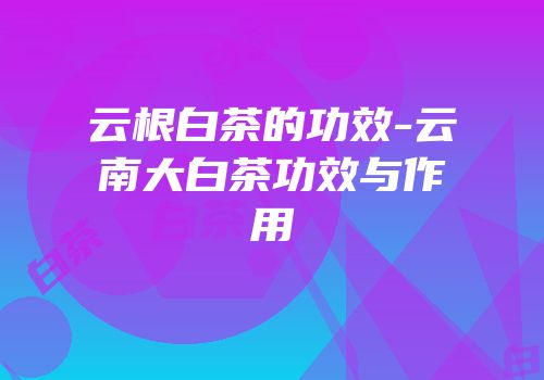 云根白茶的功效-云南大白茶功效与作用