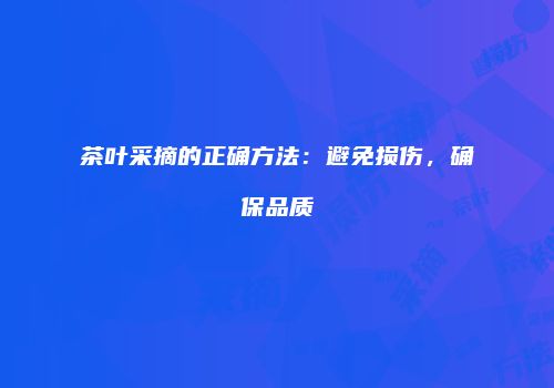 茶叶采摘的正确方法：避免损伤，确保品质
