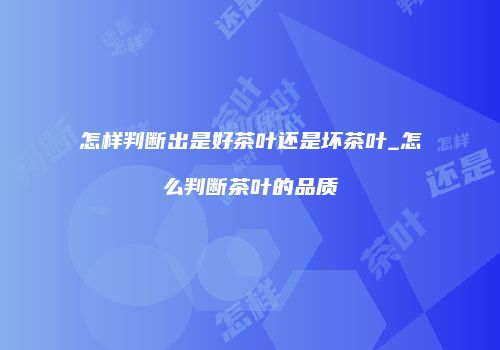 怎样判断出是好茶叶还是坏茶叶_怎么判断茶叶的品质