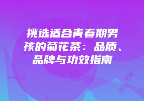 挑选适合青春期男孩的菊花茶：品质、品牌与功效指南