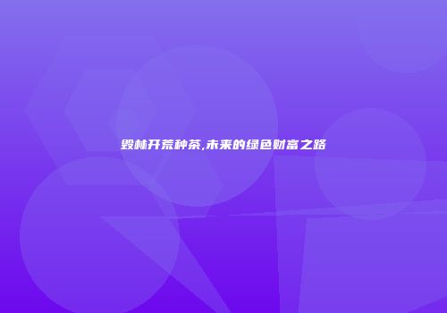毁林开荒种茶,未来的绿色财富之路