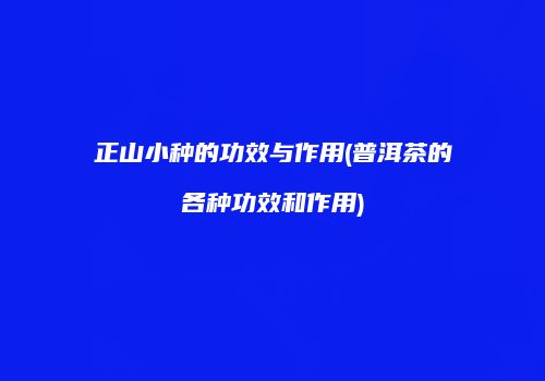 正山小种的功效与作用(普洱茶的各种功效和作用)