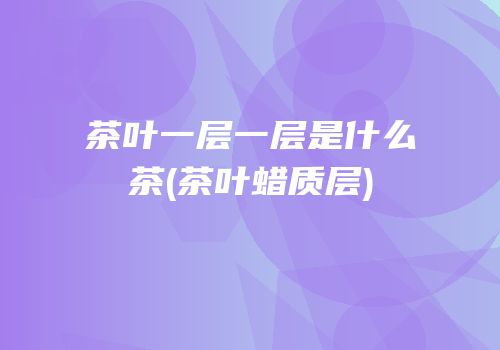 茶叶一层一层是什么茶(茶叶蜡质层)