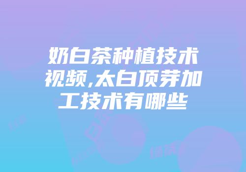 奶白茶种植技术视频,太白顶芽加工技术有哪些