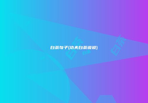 白茶句子(功夫白茶说说)