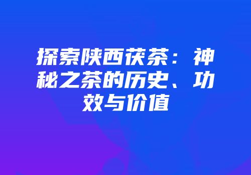 探索陕西茯茶：神秘之茶的历史、功效与价值