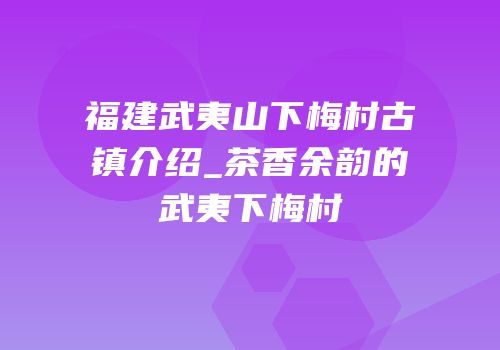 福建武夷山下梅村古镇介绍_茶香余韵的武夷下梅村
