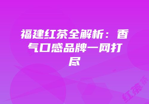 福建红茶全解析：香气口感品牌一网打尽