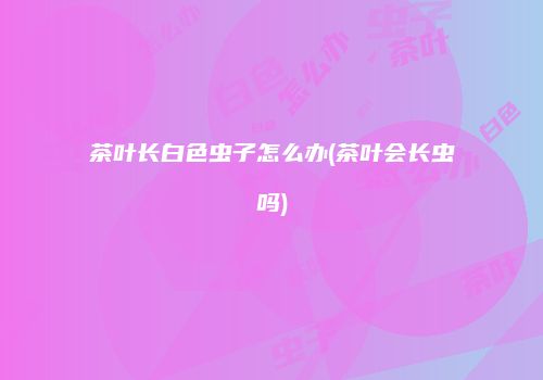 茶叶长白色虫子怎么办(茶叶会长虫吗)